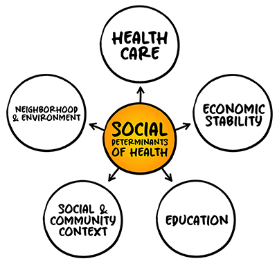 Infographic listing the different components of the social determinants of health