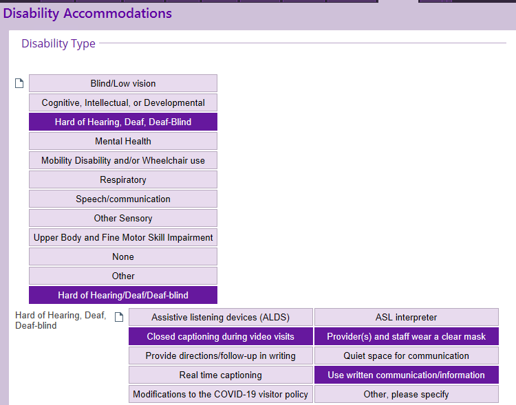 Screenshot of the patient disability accommodations. This information is from a fake patient account. 