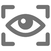 Gray Icon of Eye