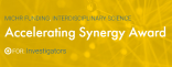 Synergy Award Logo